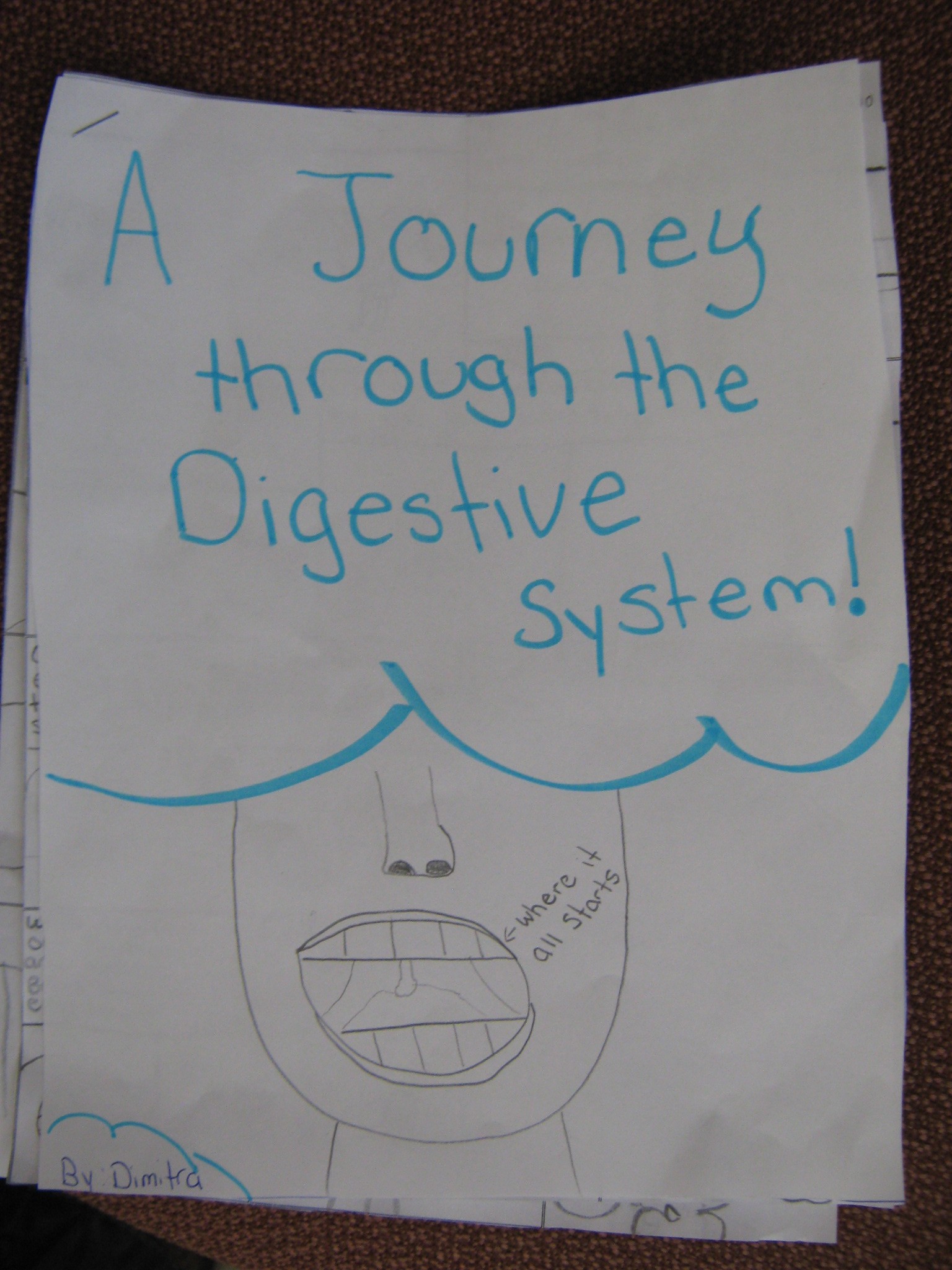 Human Organ Systems | Mr. Wendler's Class (2015-2016)